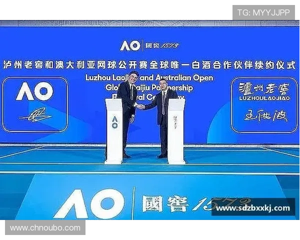 欧博ABG代理官网入口常见问题及解决方案全攻略指南